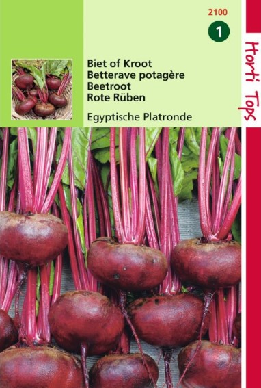 Rote Bete Agyptische plattrunde (Beta vulgaris) 280 Samen HT